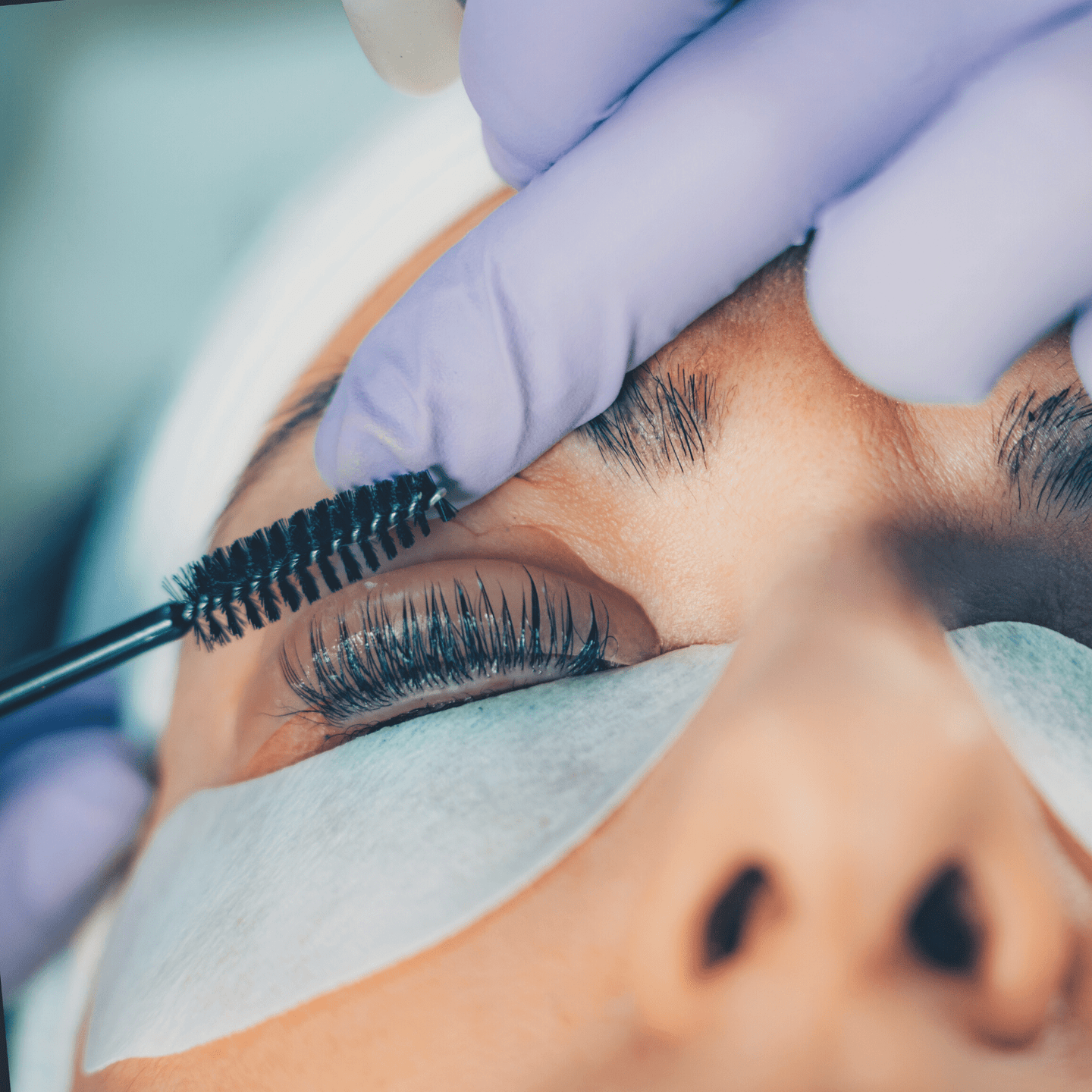 Lash lift & tint in Wellington